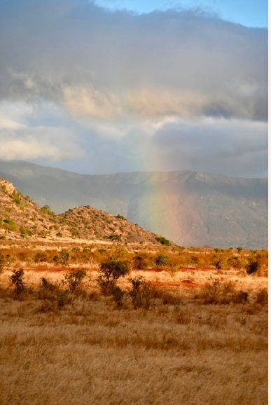 A rainbow over the landscape